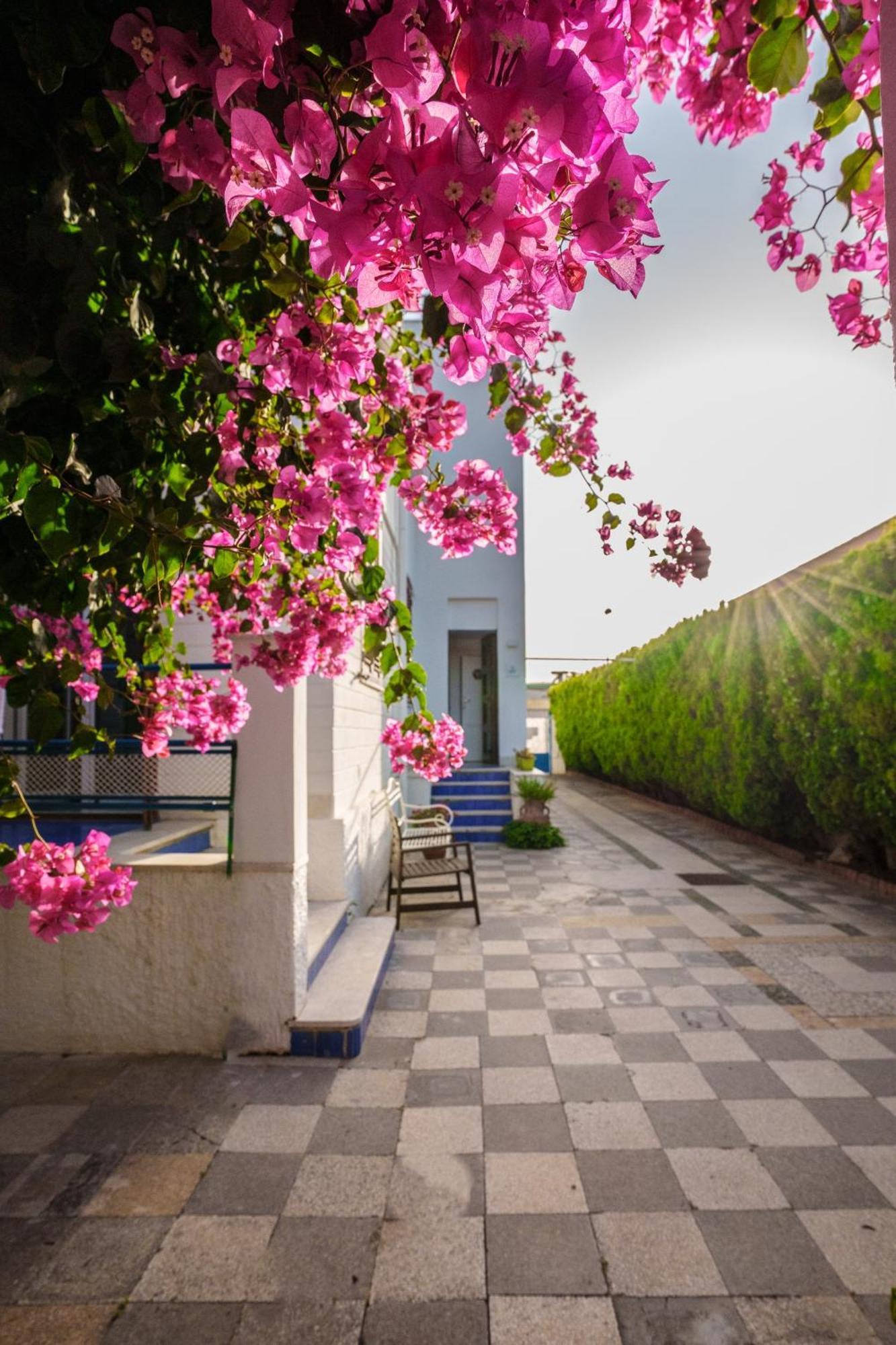 Le Vele Mondello, A Due Passi Dal Mare Holiday home *